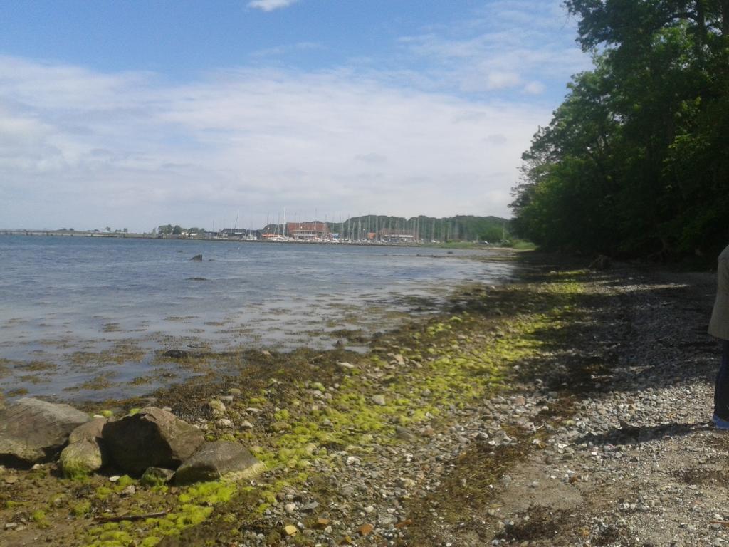 Ostsee Reetkate Appartement *