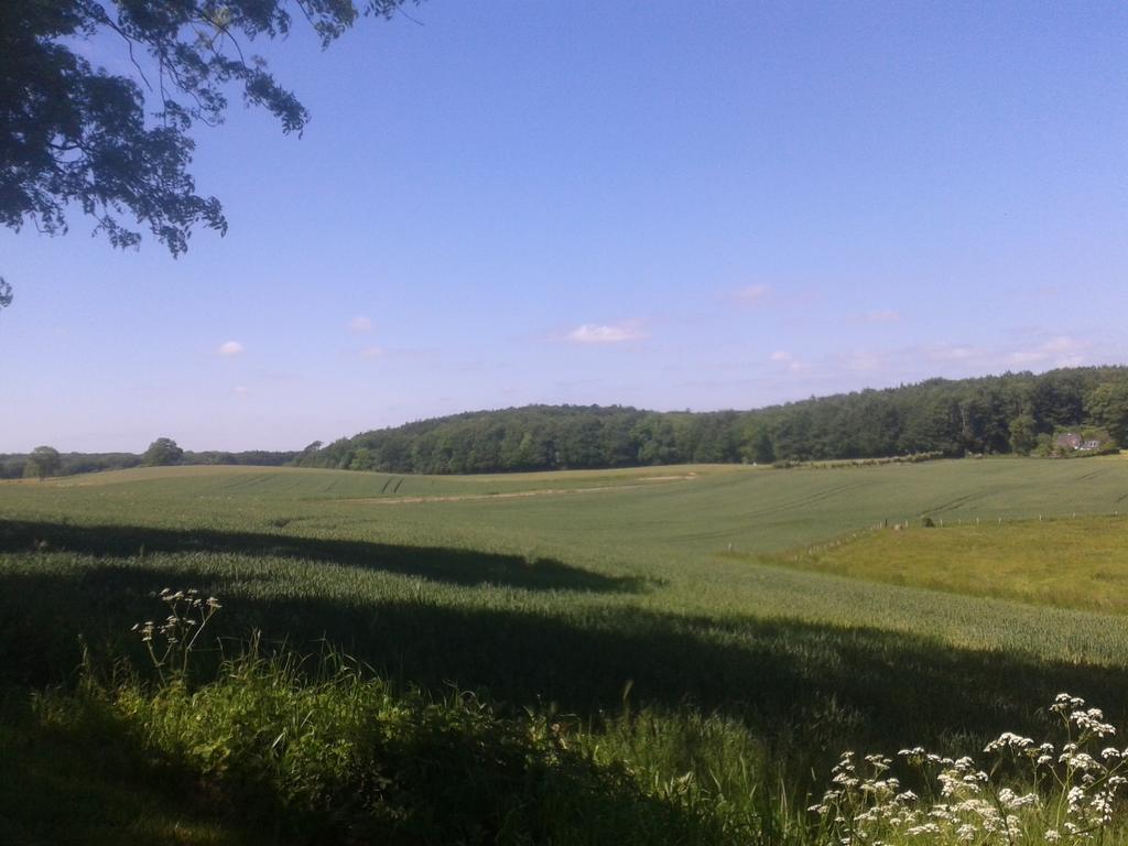 Appartement Ostsee Reetkate Langballig