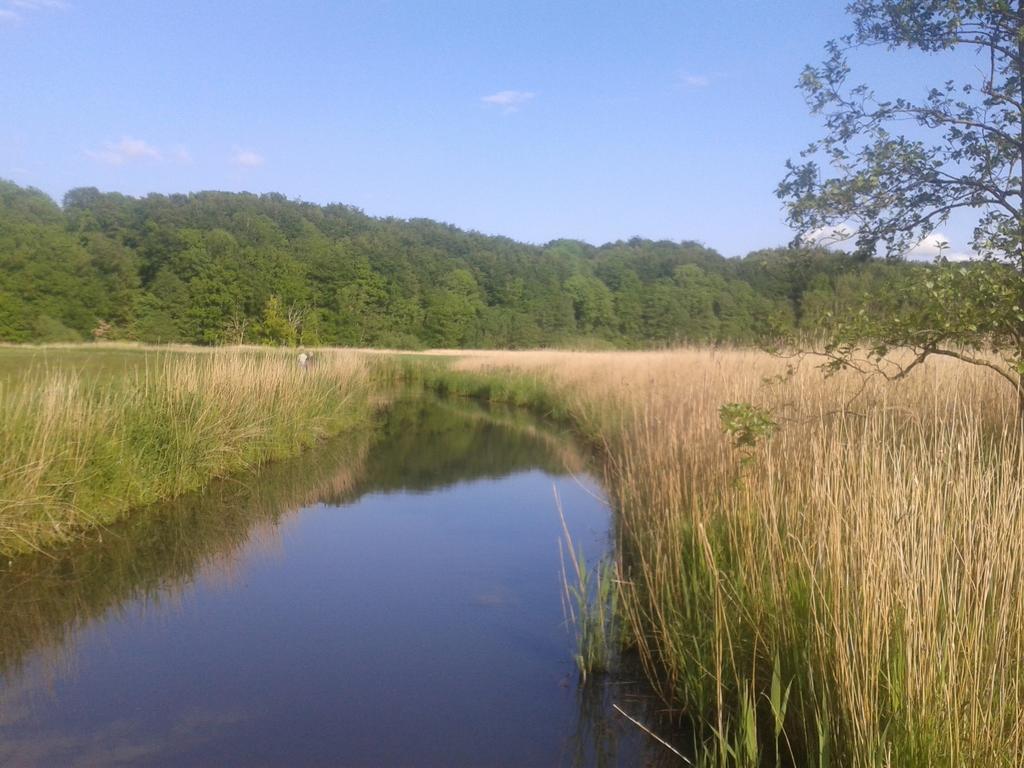 Ostsee Reetkate Appartement *