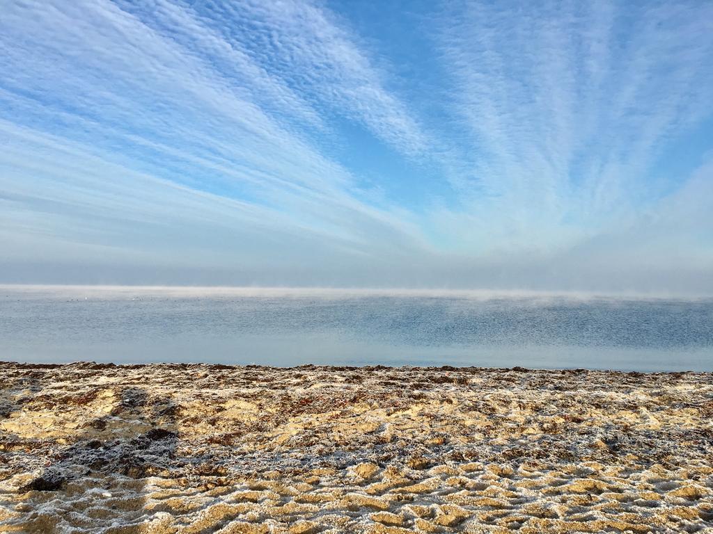 Ostsee Reetkate