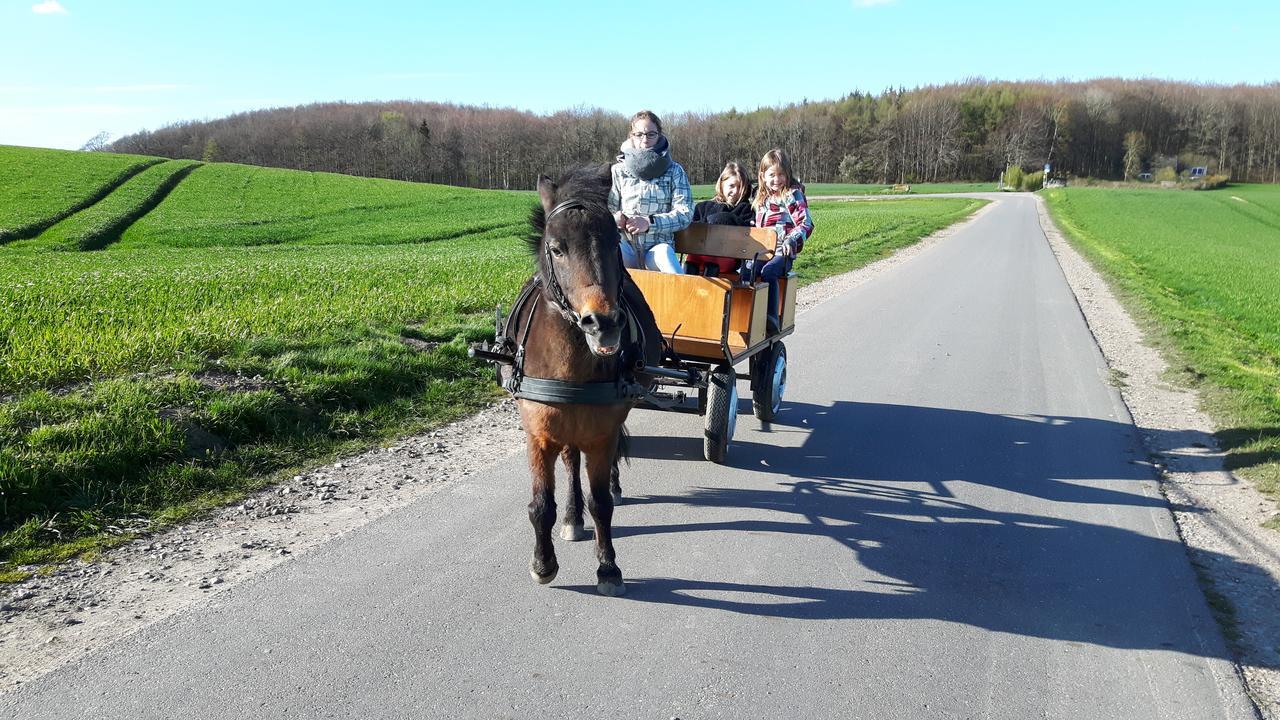 Ostsee Reetkate Langballig
