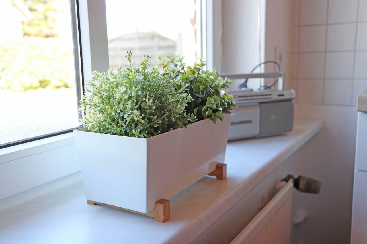 Ostsee Reetkate Appartement Langballig